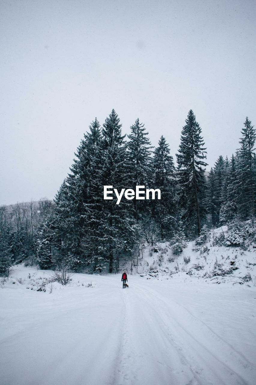 Man on snow covered trees against sky