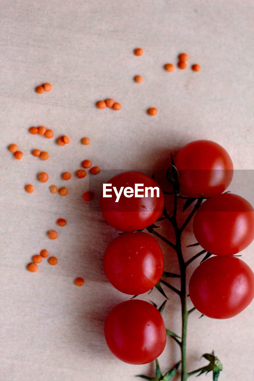 Directly above shot of tomato on table