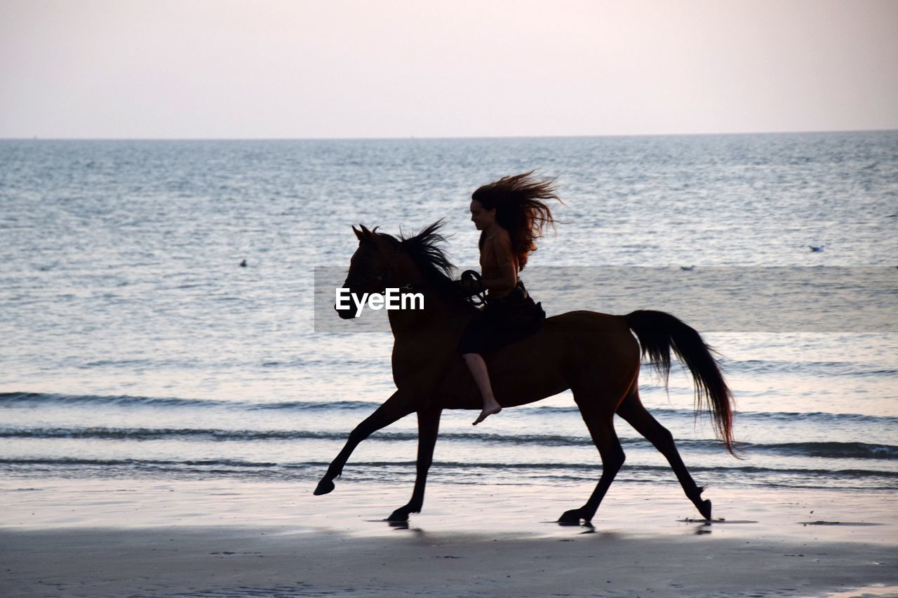 Woman riding horse at beach against sky