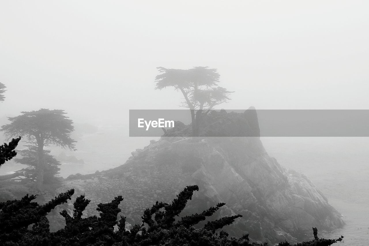 Rock by sea against sky during foggy weather