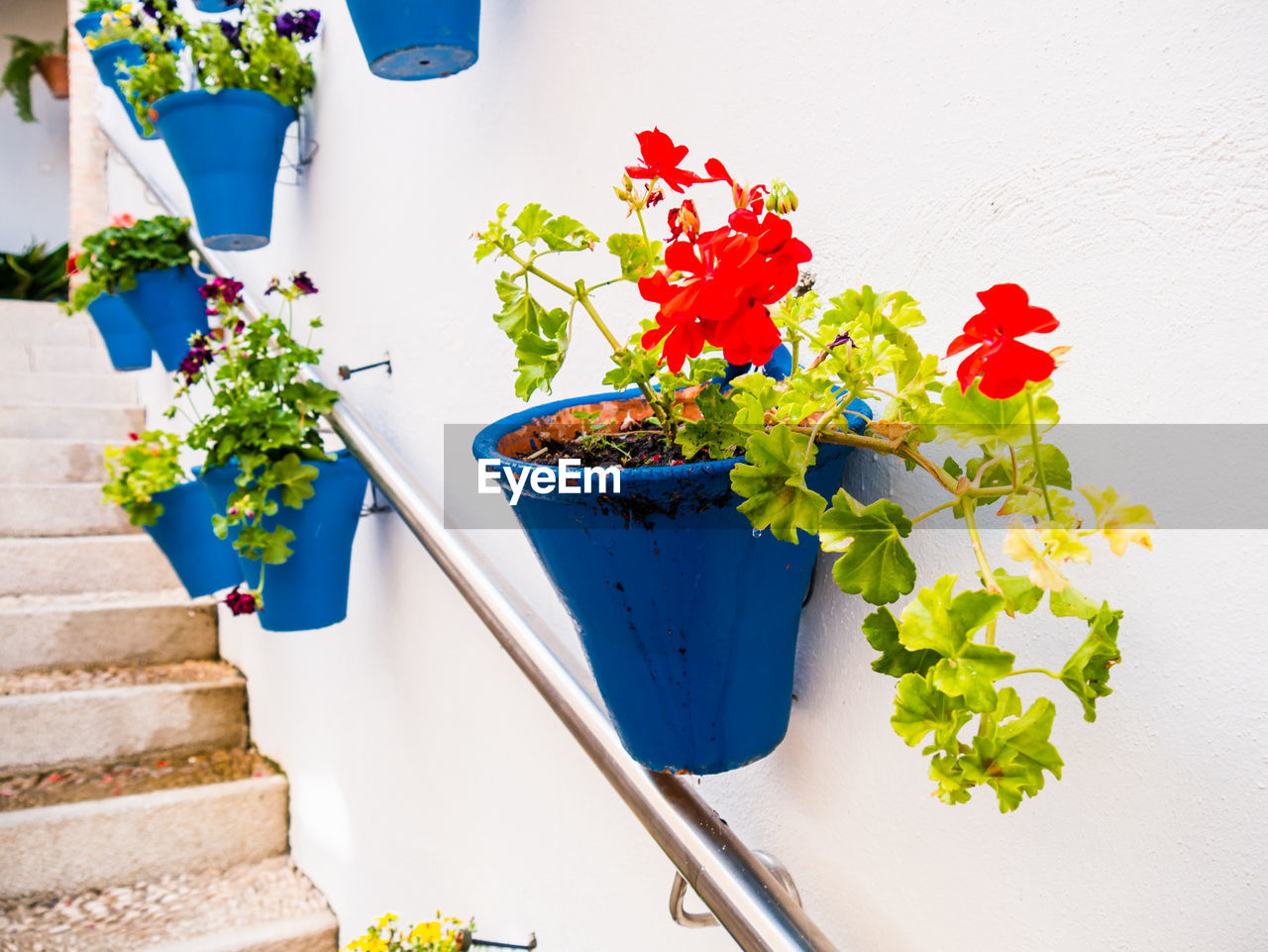 FLOWER POT AGAINST WALL