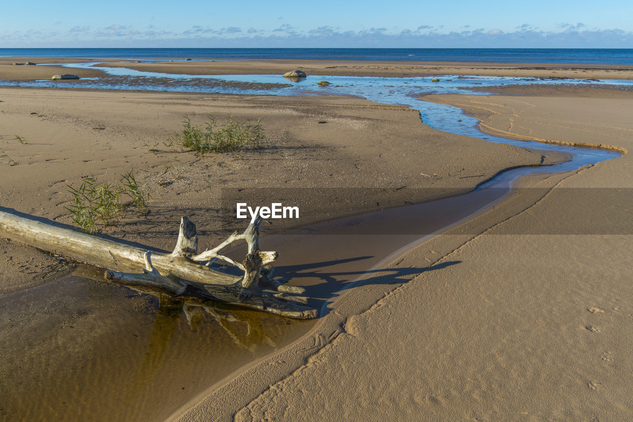 Driftwood on shore at beach against sky