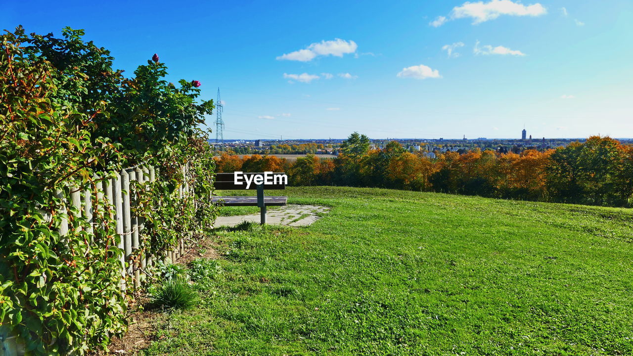 TREES ON FIELD AGAINST SKY