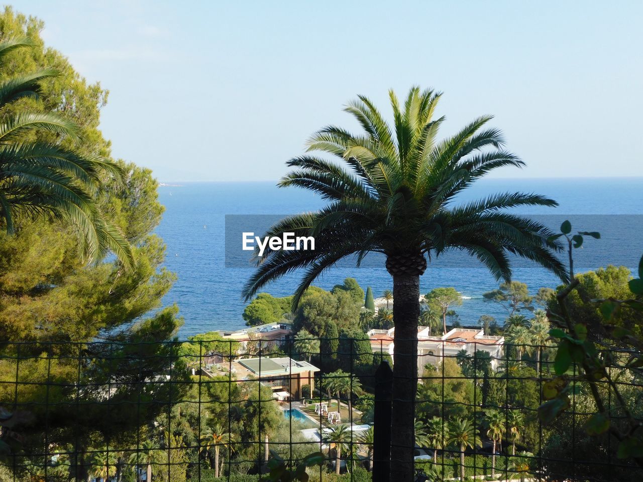 Palm trees by sea against sky