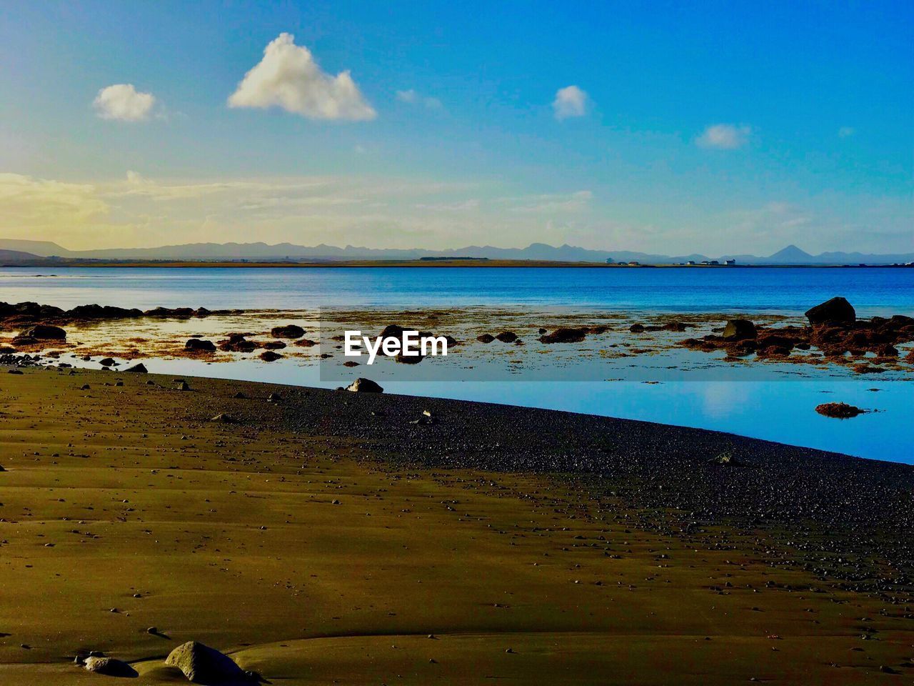 VIEW OF BIRDS ON BEACH AGAINST CLOUDY SKY