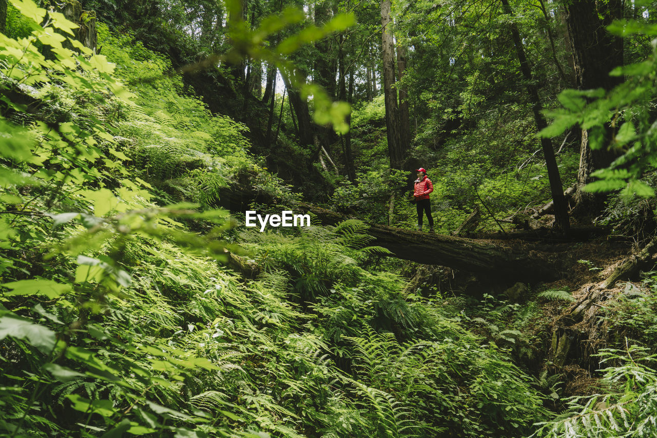 Woman with hands in pockets standing on log in forest