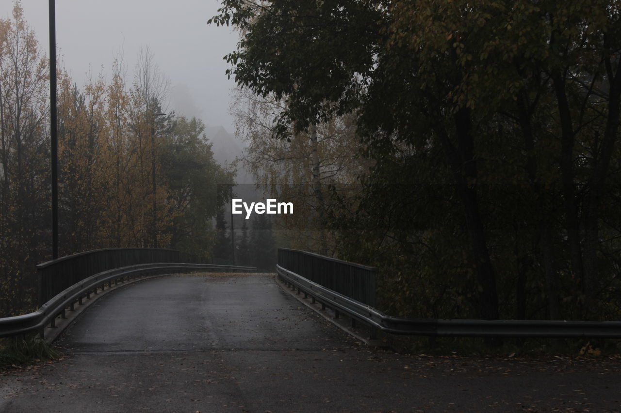 Empty road amidst trees