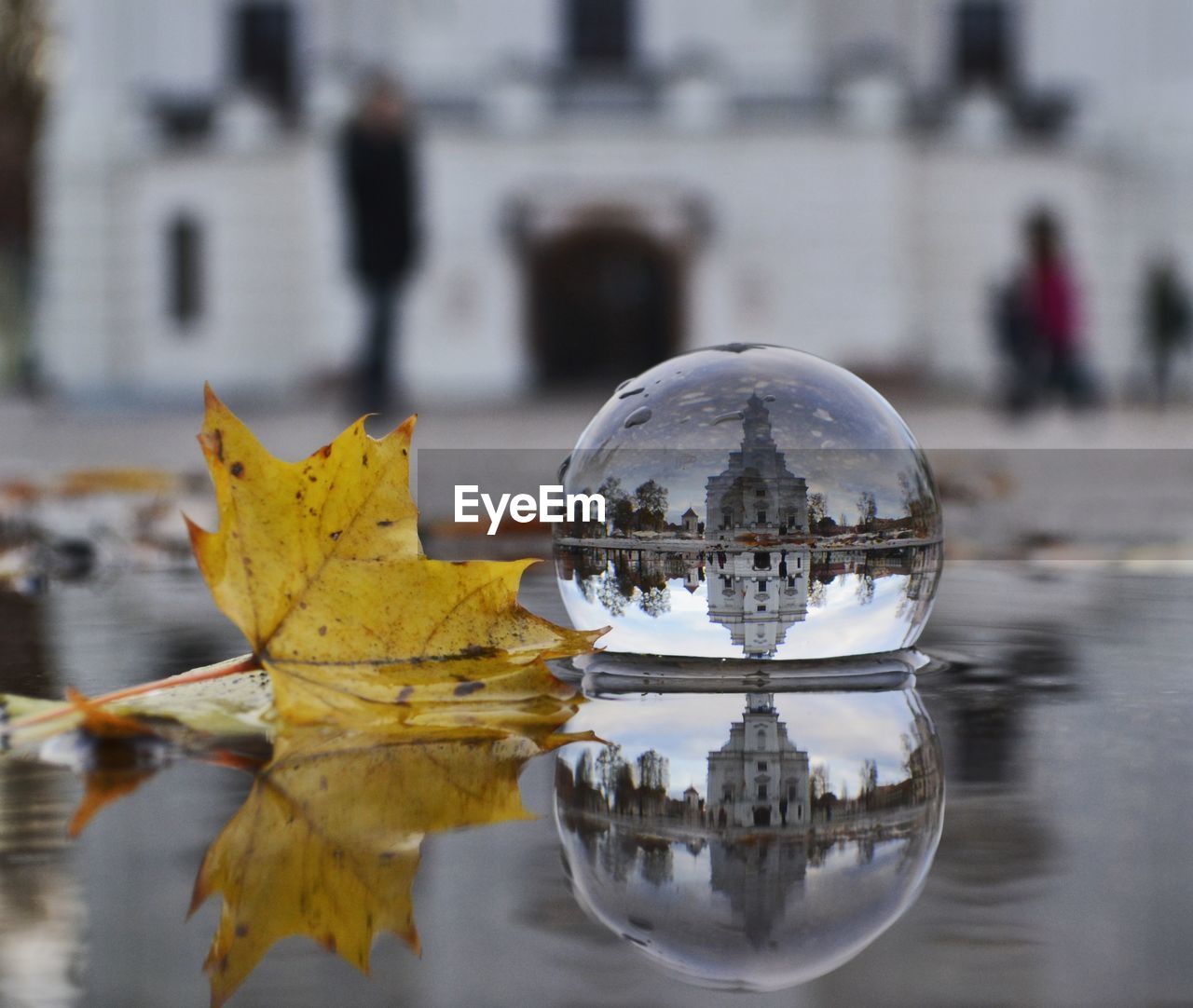 Reflection of building in crystal ball by leaf on pond