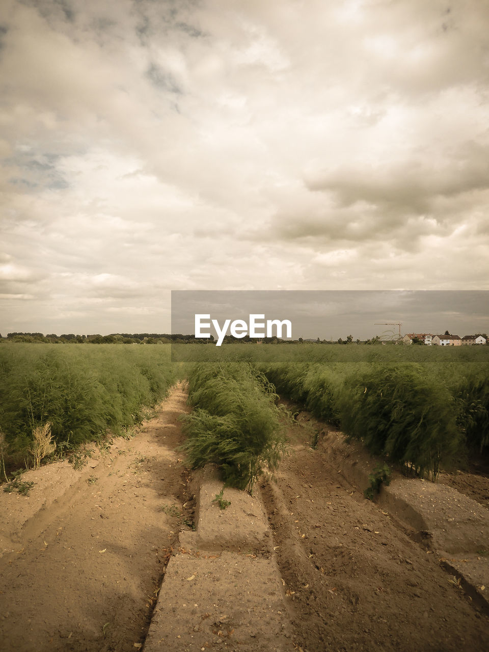 VIEW OF LANDSCAPE AGAINST CLOUDY SKY