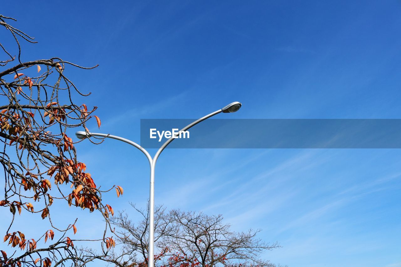 Low angle view of street light against blue sky