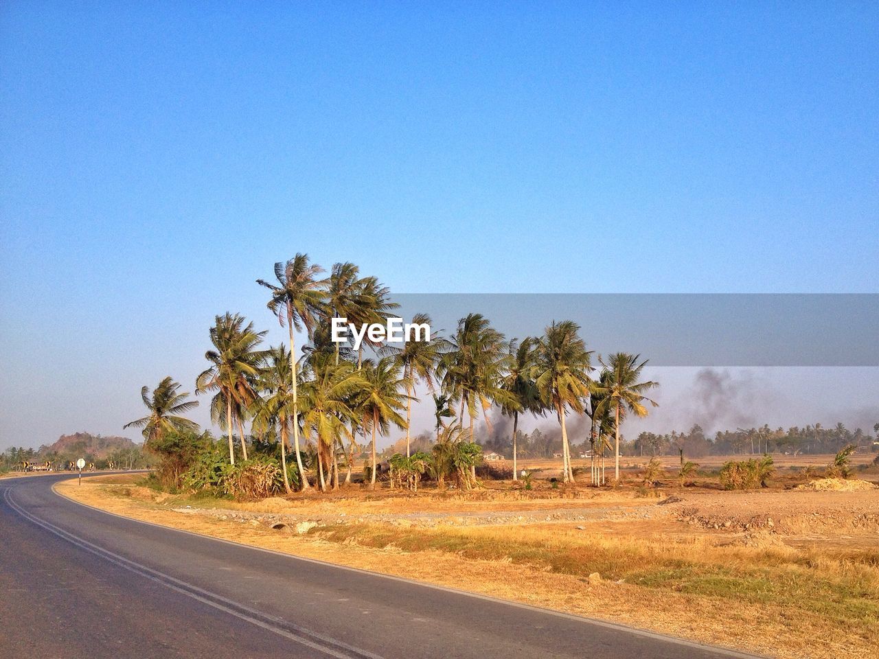 Trees by road against clear blue sky