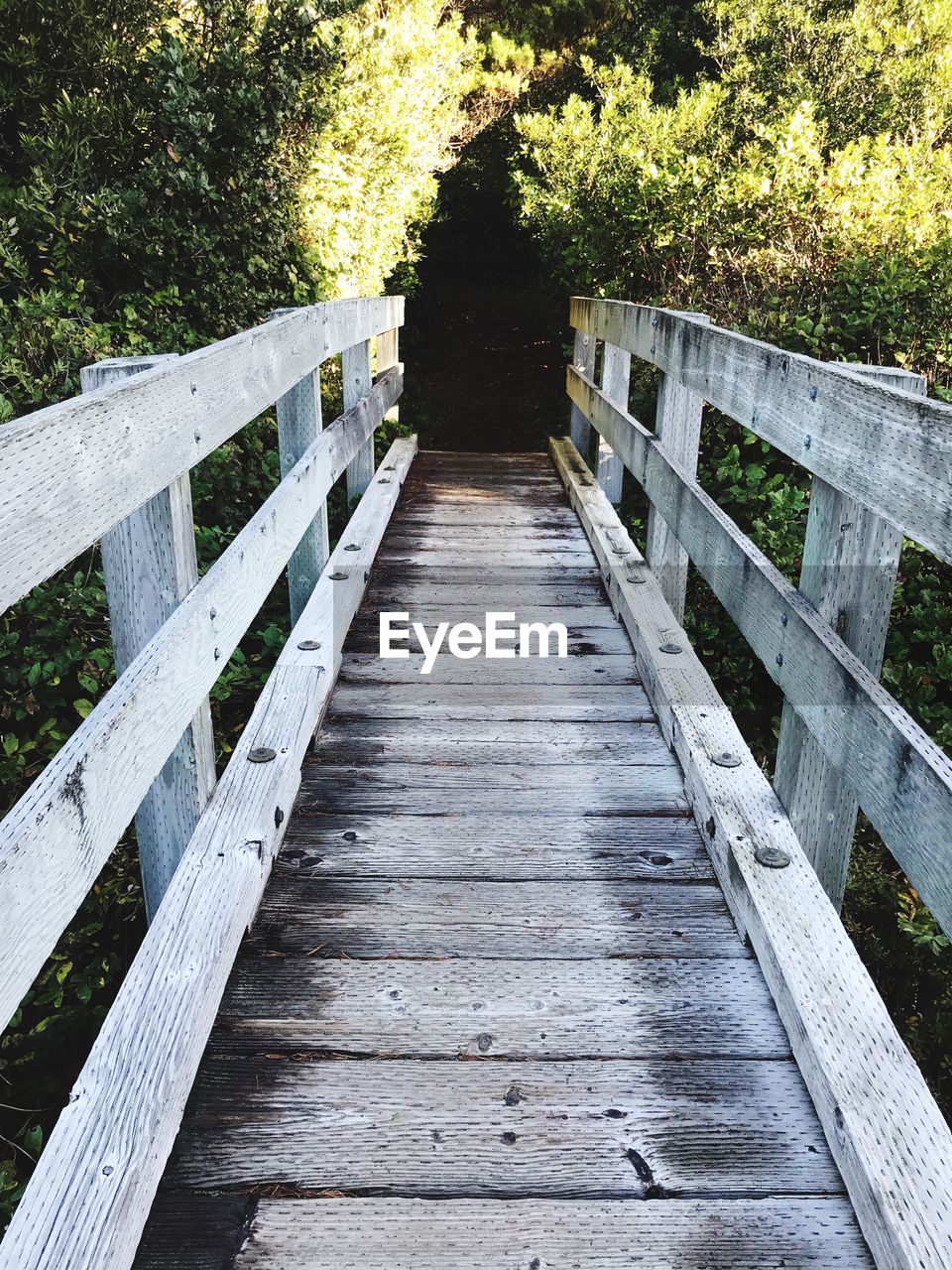 WOODEN FOOTBRIDGE ALONG PLANTS