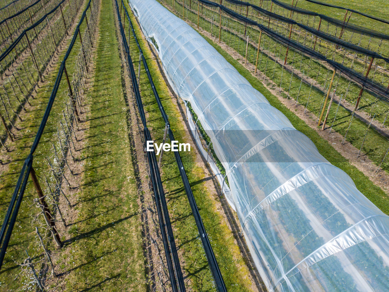 High angle view of agricultural field