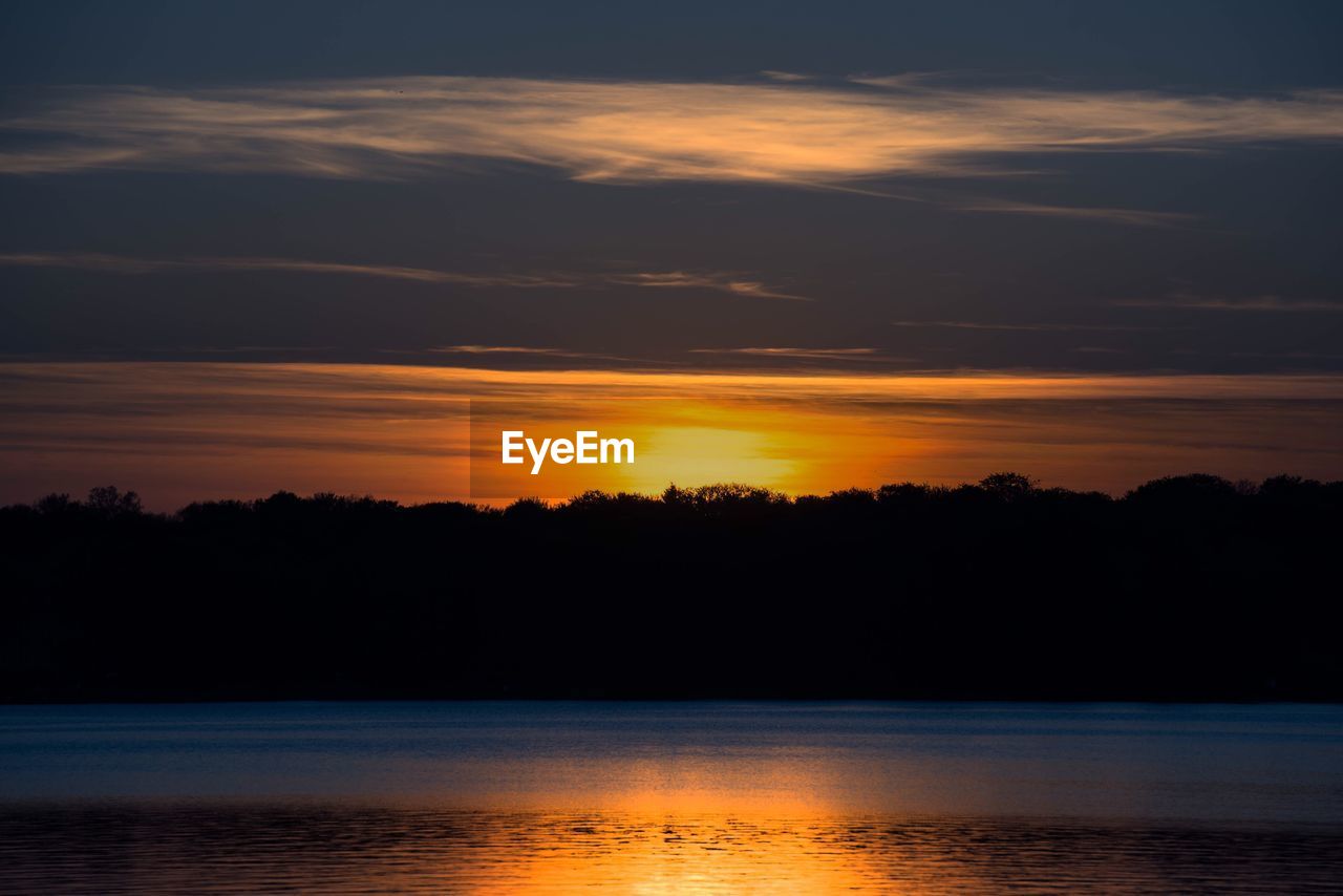 SILHOUETTE OF TREES AT SUNSET