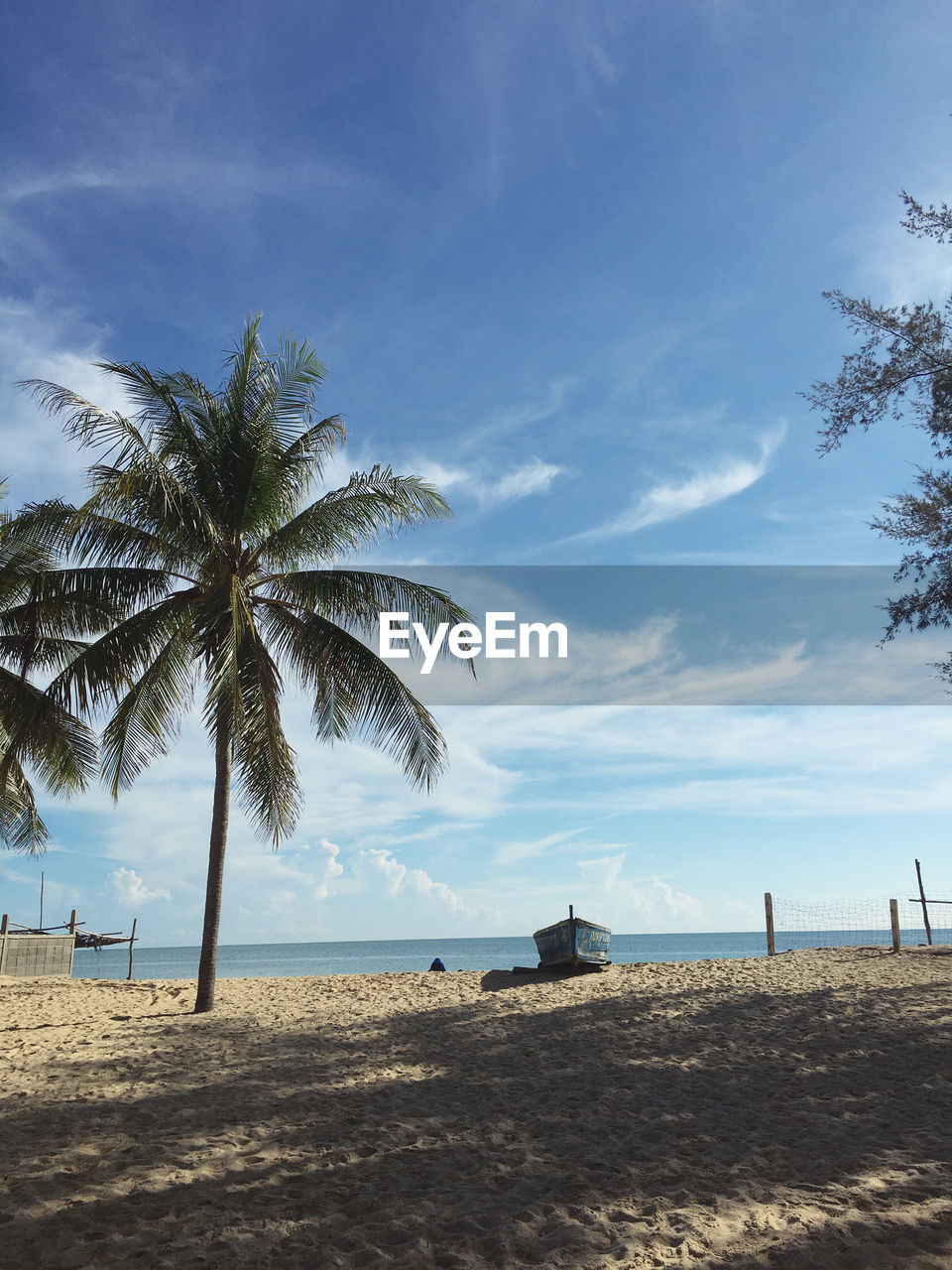 PALM TREES ON SHORE AGAINST SKY