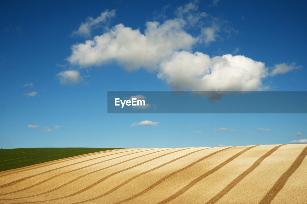 Scenic view of agricultural field against blue sky