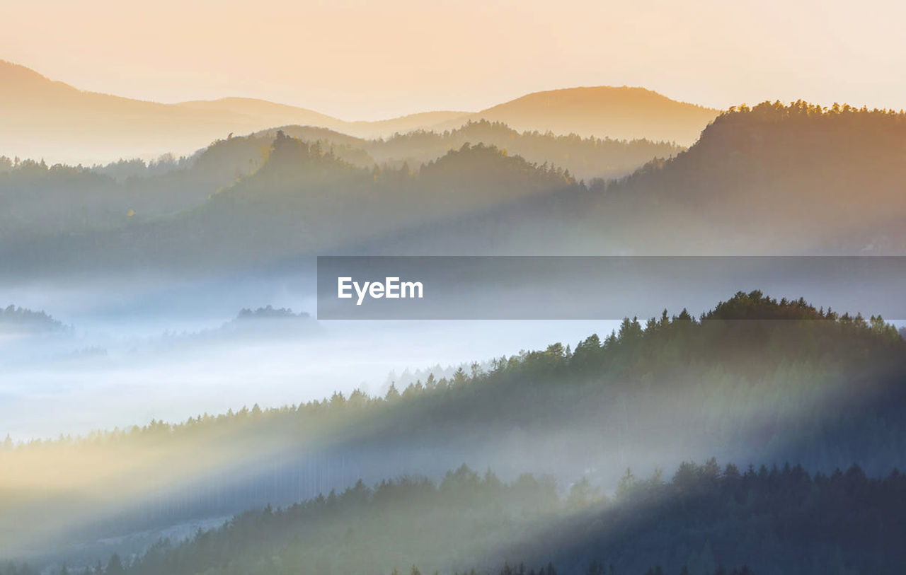 High angle view of forest against sky during sunrise