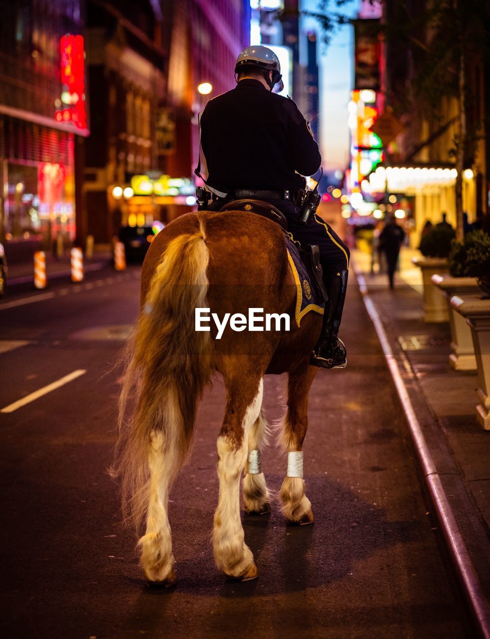 Rear view of policeman riding horse on city street at night