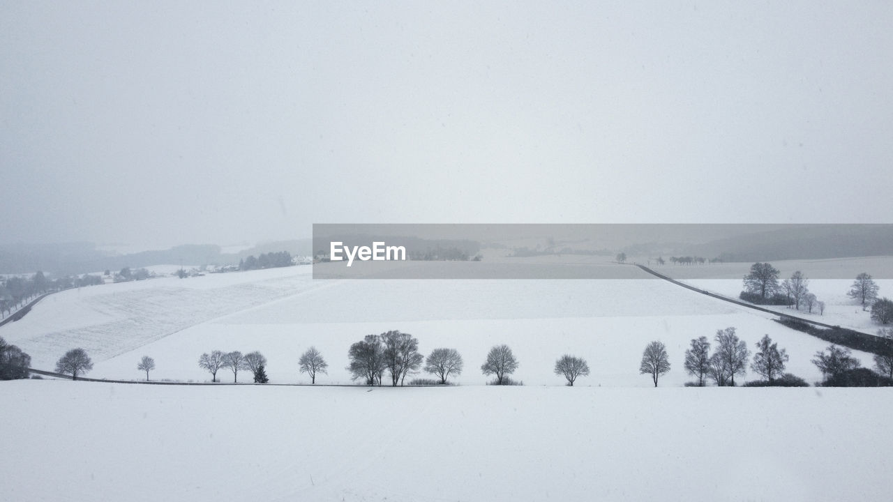 SNOW COVERED TREES AGAINST SKY