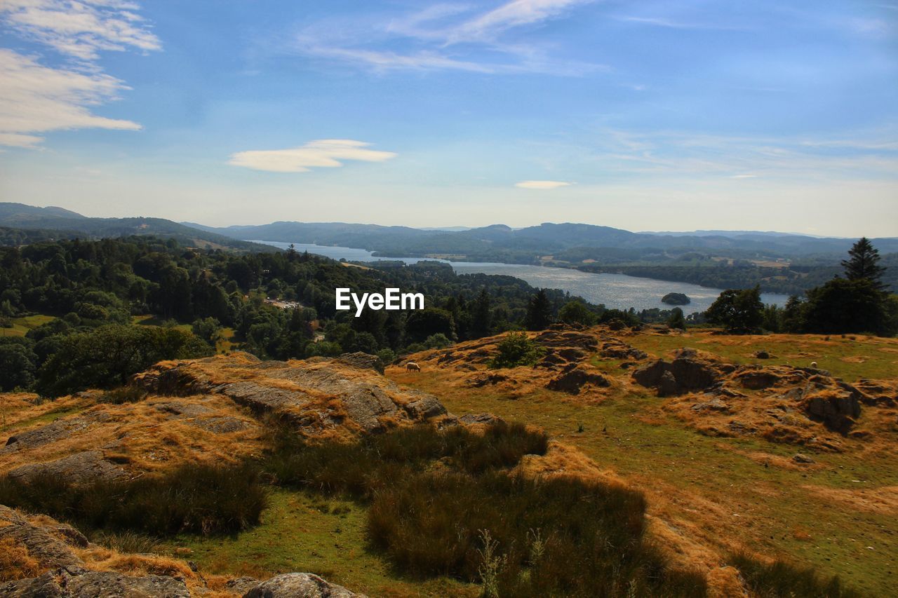 SCENIC VIEW OF TREES AND MOUNTAINS AGAINST SKY