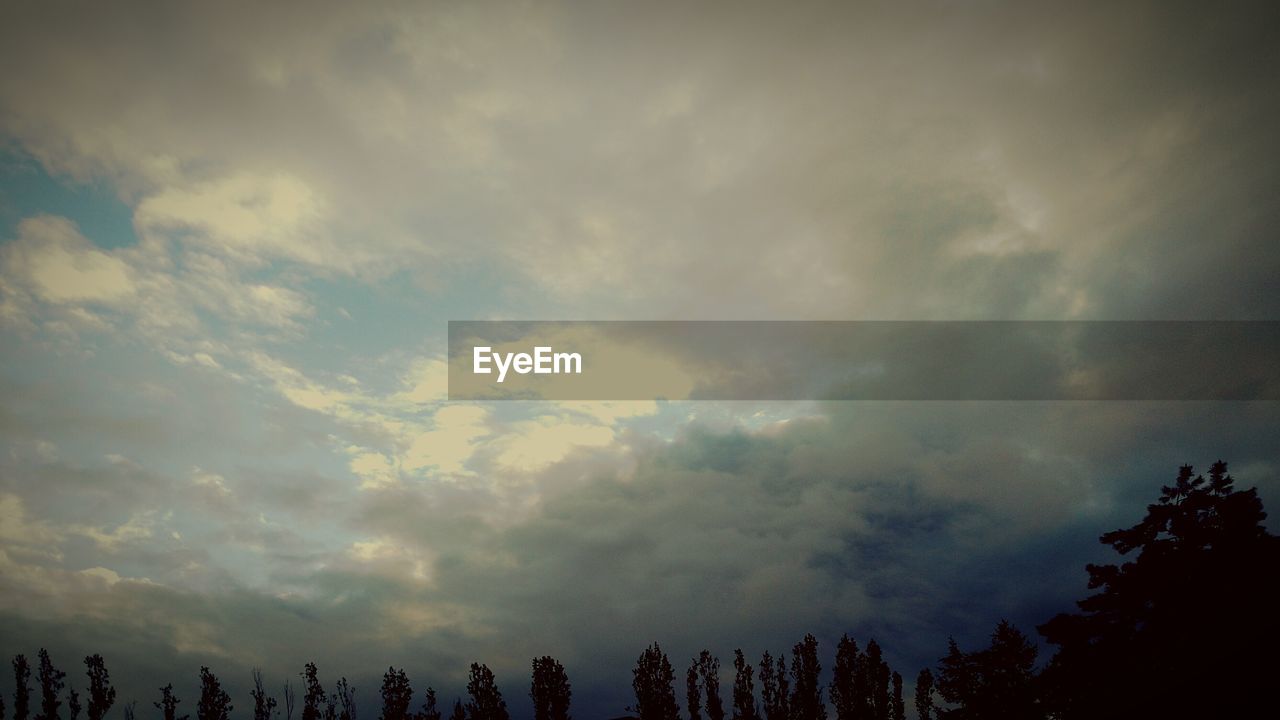 LOW ANGLE VIEW OF TREES AGAINST STORM CLOUDS