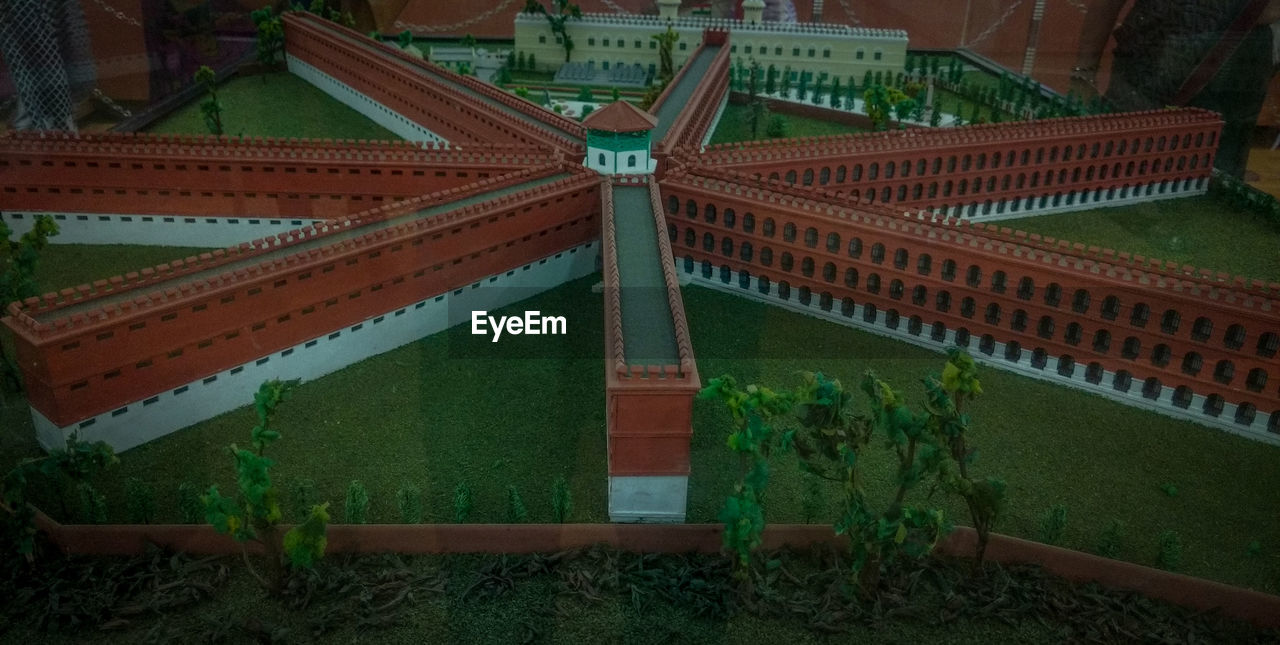 PLANTS GROWING ON WALL