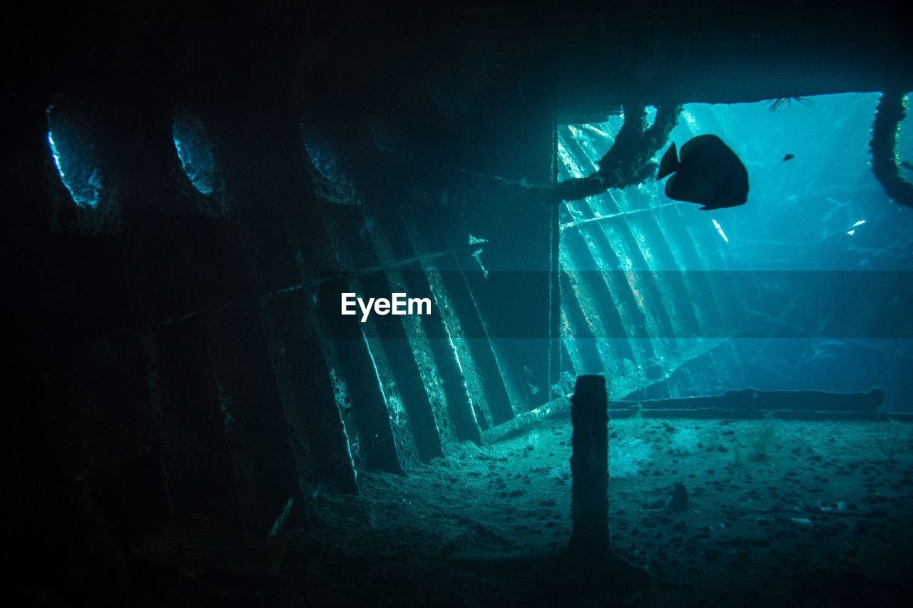 PEOPLE IN SEA