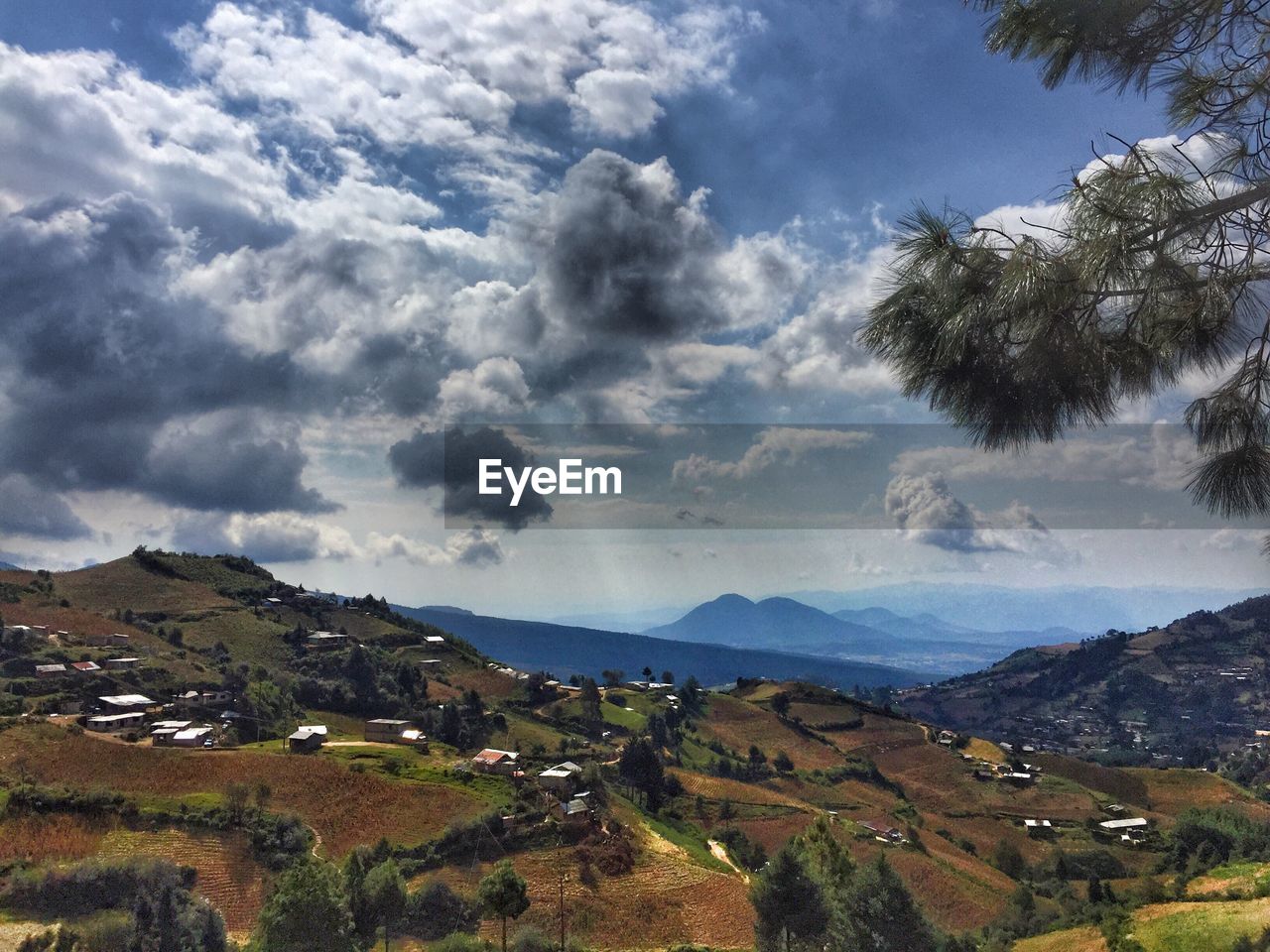 Scenic view of agricultural landscape against sky