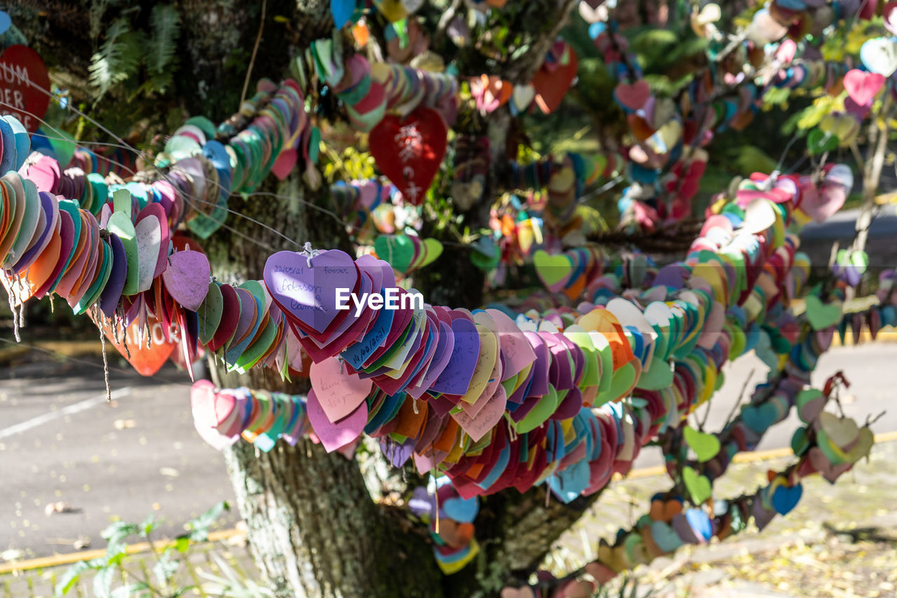 High angle view of multi colored hearts hanging on tree