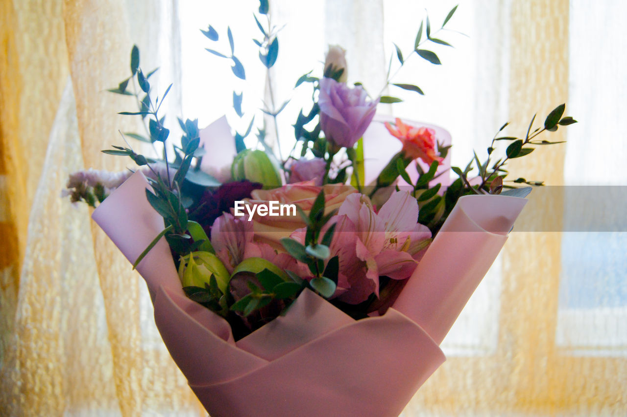 Close-up of hand holding purple flower pot