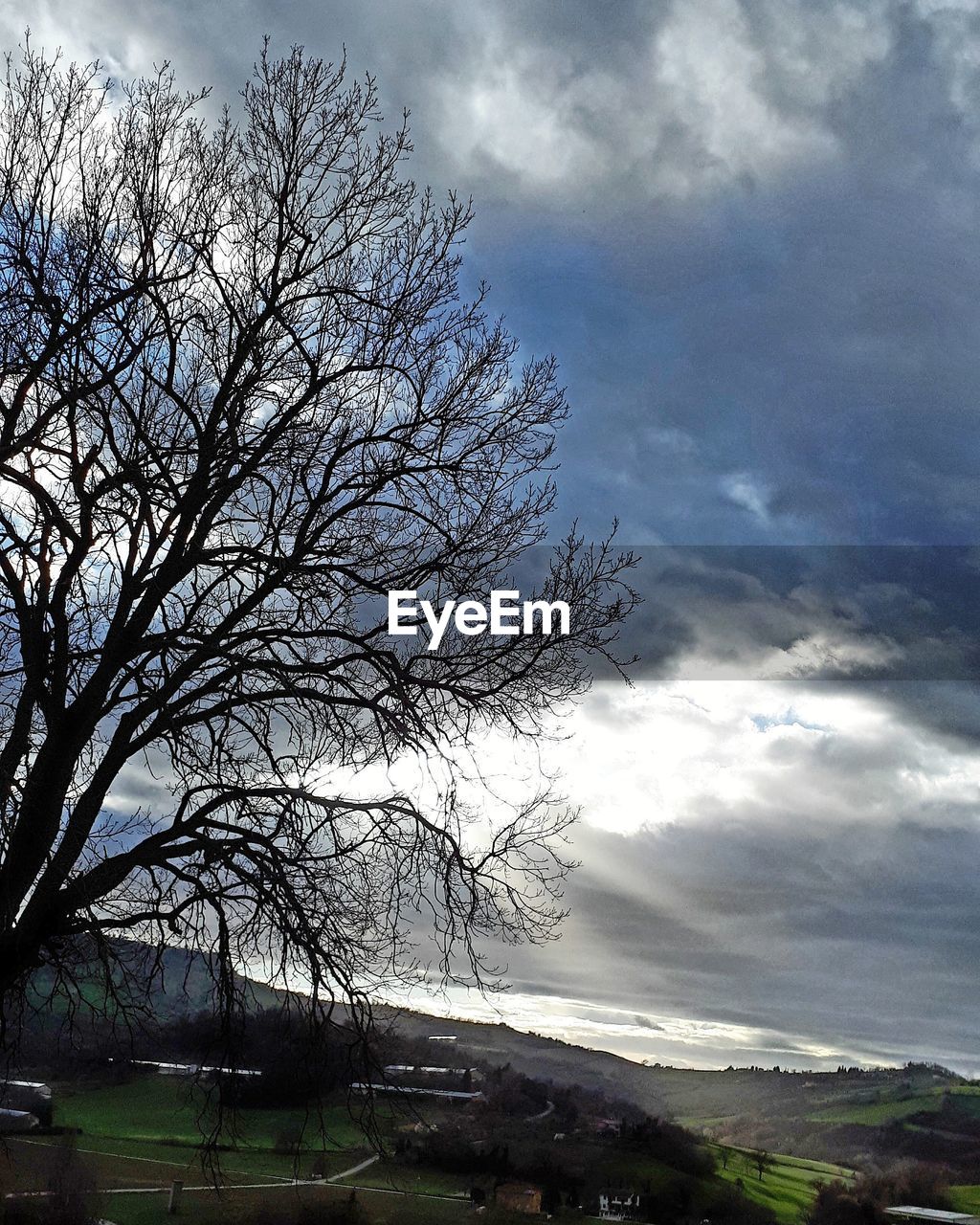 BARE TREE AGAINST LANDSCAPE AND SKY