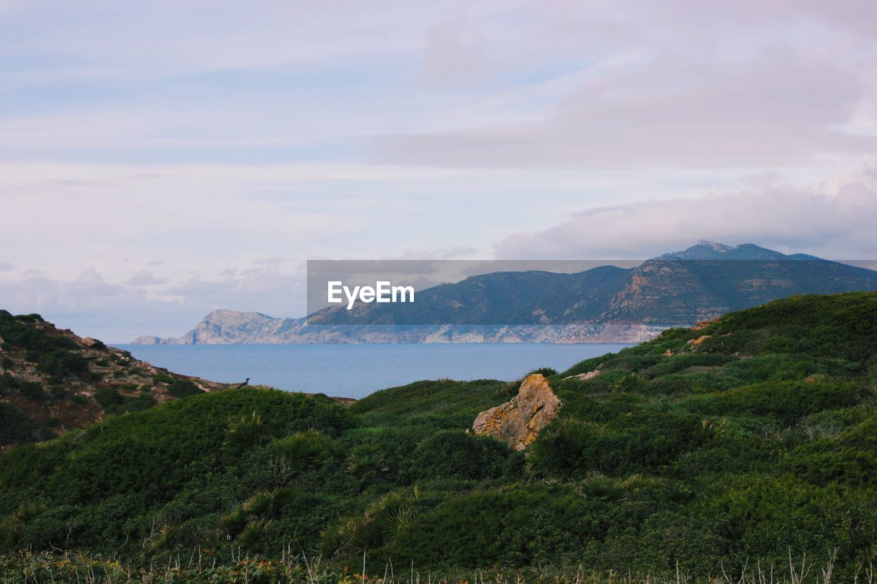 Scenic view of landscape and mountains against sky