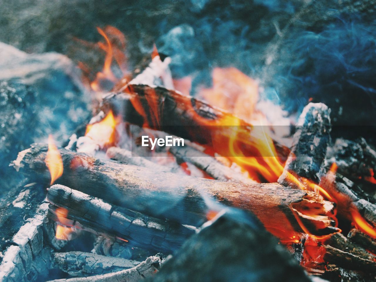 CLOSE-UP OF FIREWOOD BURNING IN AUTUMN