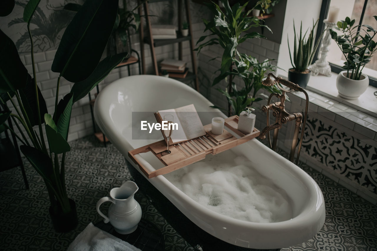 bathroom, indoors, room, domestic room, sink, no people, household equipment, plant, nature, food and drink, bathtub, home, table, home interior, seat, high angle view, potted plant, chair, houseplant, tableware, plumbing fixture, food, cup, kitchen utensil