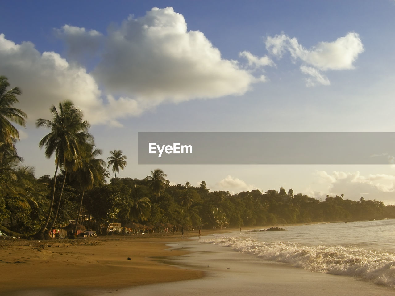 SCENIC VIEW OF PALM TREES AT BEACH AGAINST SKY