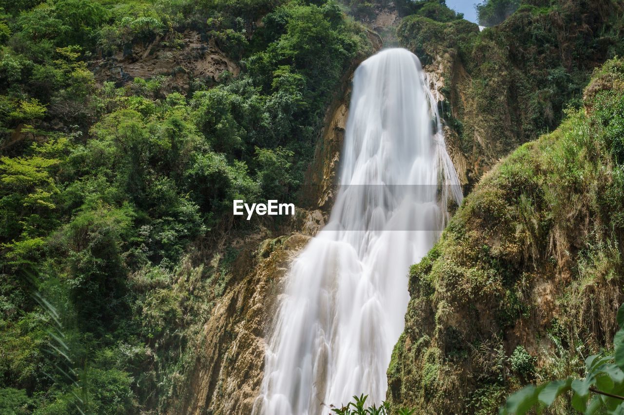 View of waterfall in forest