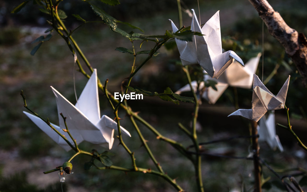 Close-up of paper birds at cemetery 