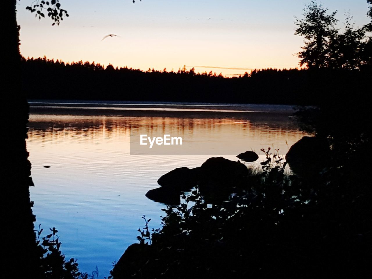 SCENIC VIEW OF LAKE BY SILHOUETTE TREES AGAINST SKY AT SUNSET
