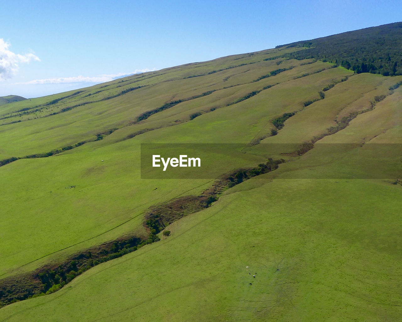 VIEW OF GREEN LANDSCAPE AGAINST SKY