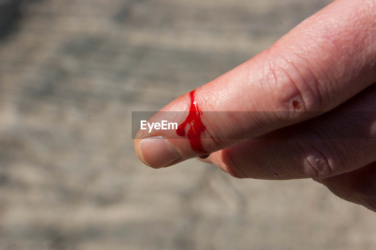 CLOSE-UP OF HAND HOLDING RED BERRIES