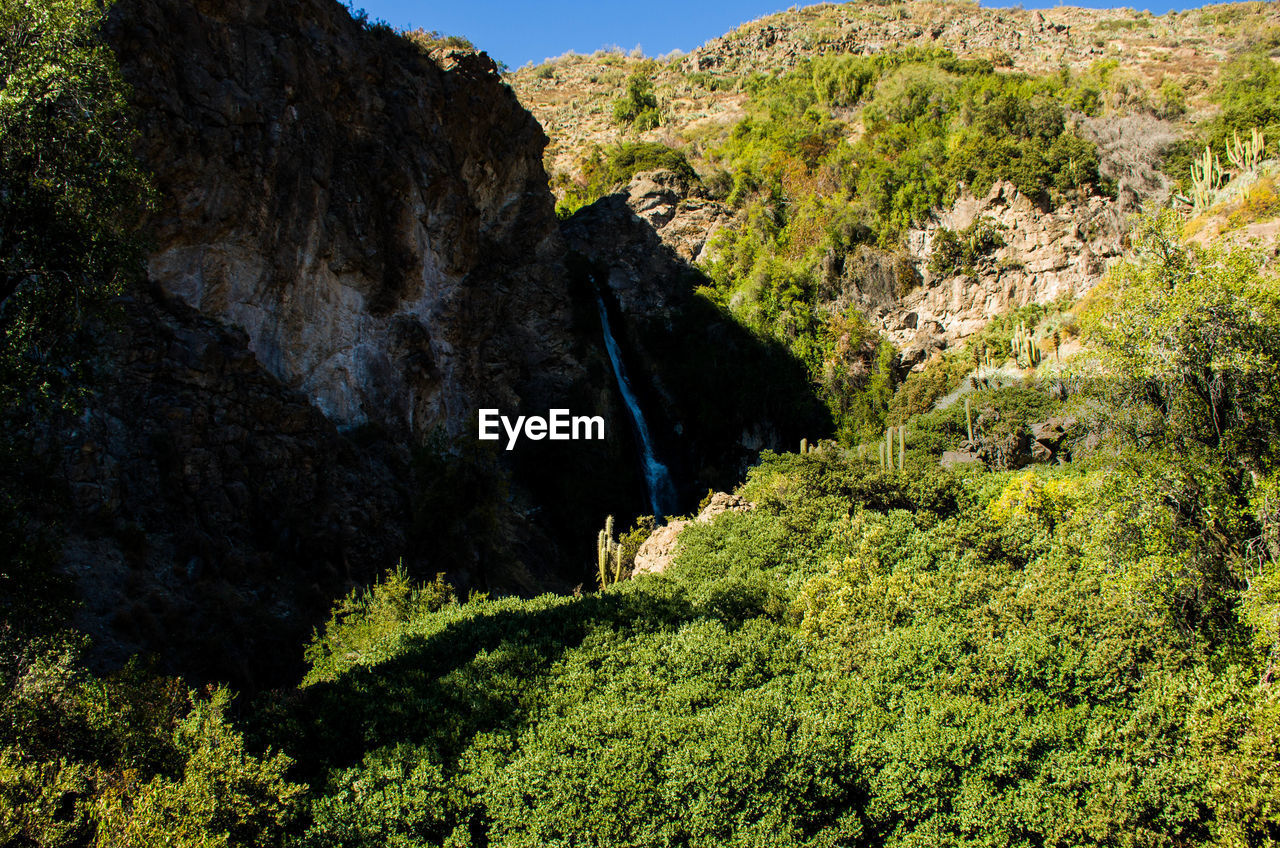 SCENIC VIEW OF ROCK FORMATION AMIDST TREES