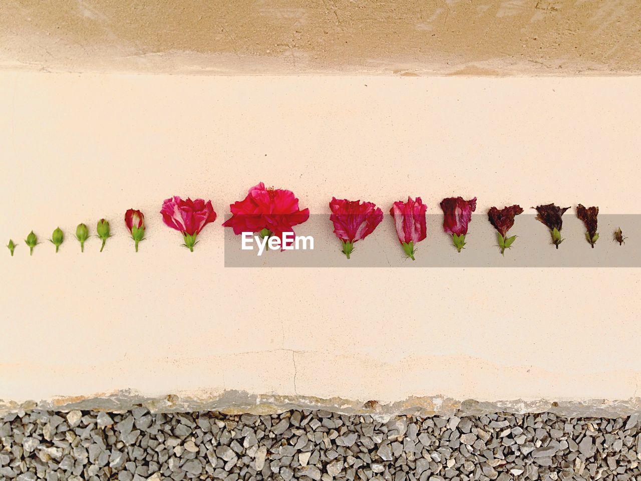 Flower arrangement on floor