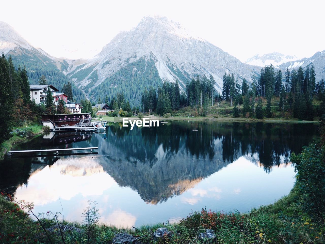 Reflection of trees in lake