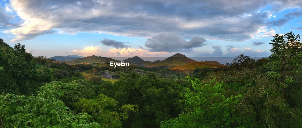 SCENIC VIEW OF TREES AND MOUNTAINS AGAINST SKY