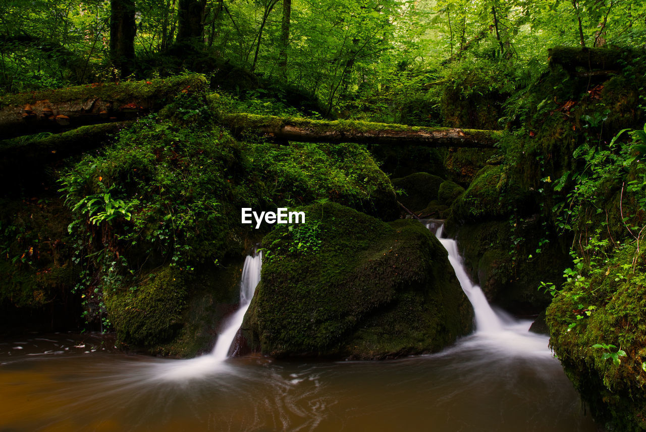 SCENIC VIEW OF WATERFALL AMIDST TREES