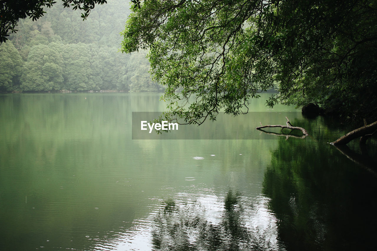 Scenic view of lake