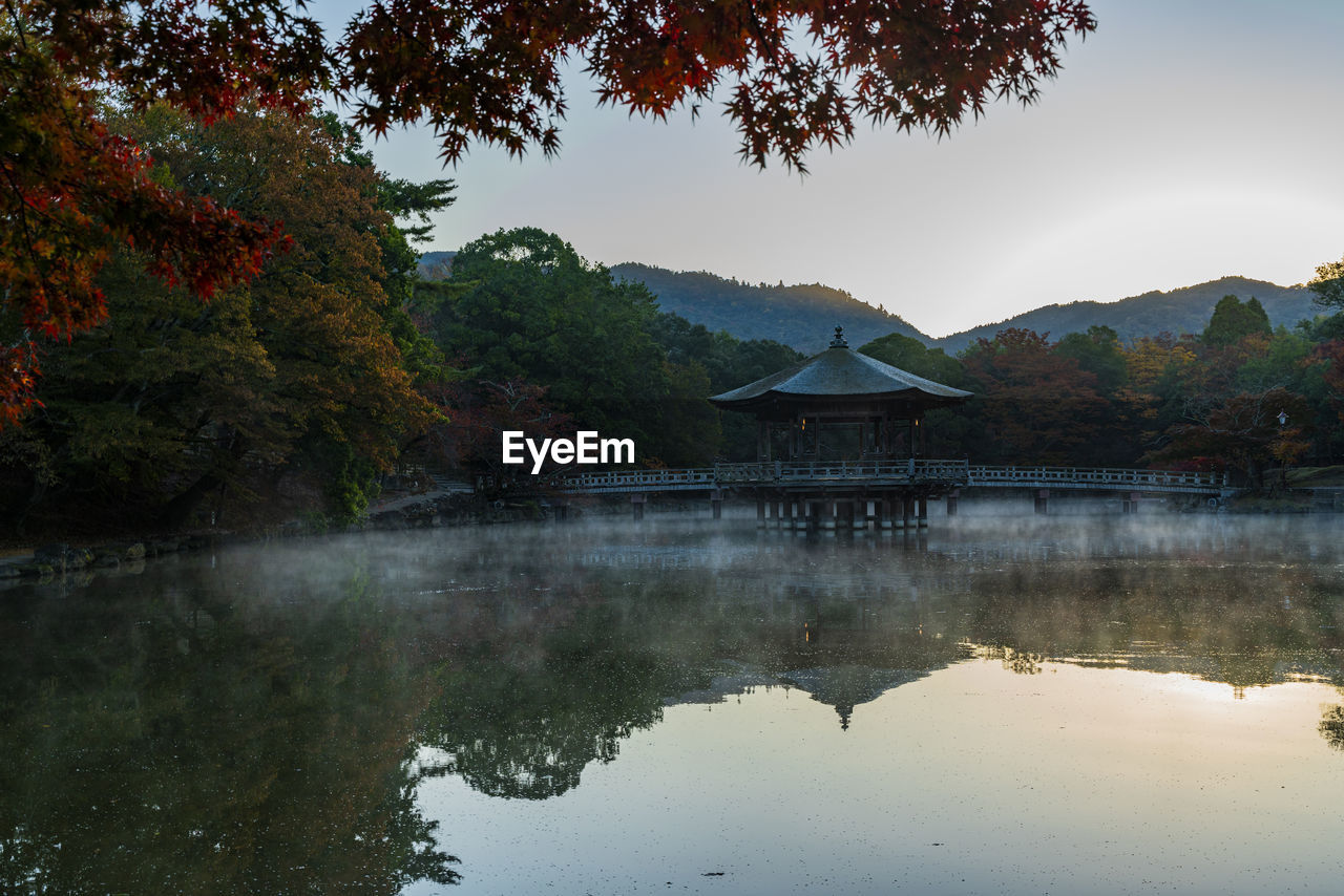Autumn leaves in nara park