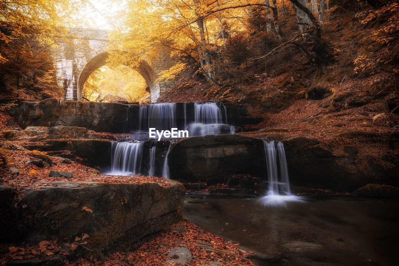 VIEW OF WATERFALL IN FOREST