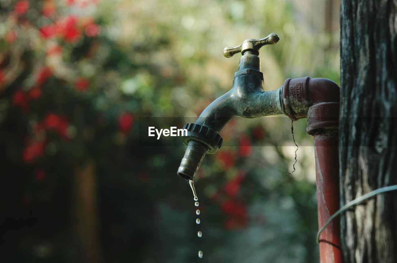 Close-up of water falling from faucet