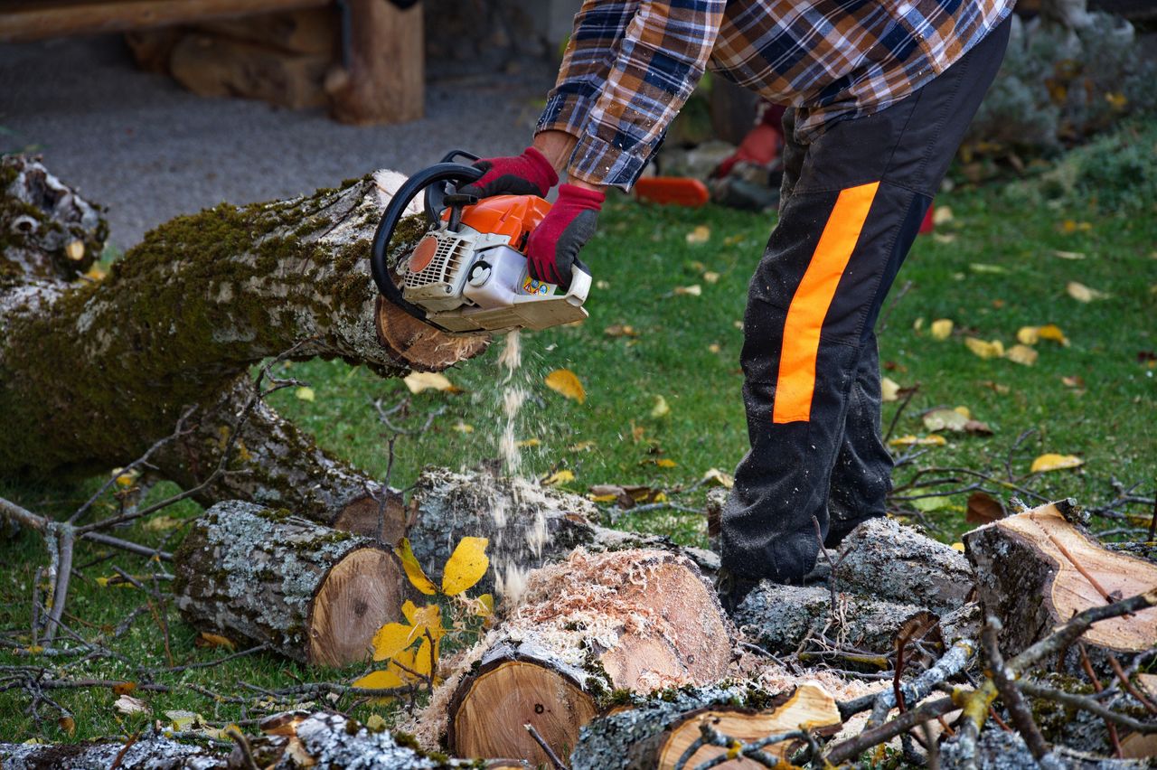Arborist man cutting a branches with chainsaw